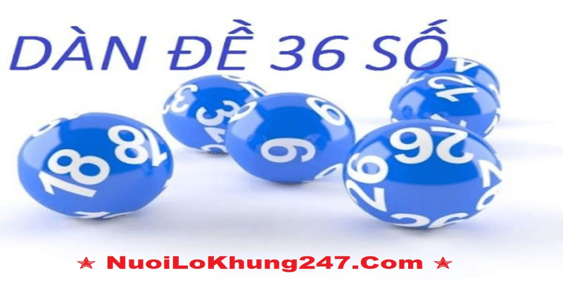 Soi cầu 247 com dàn đề 36 số thú vị cùng Nuoilo