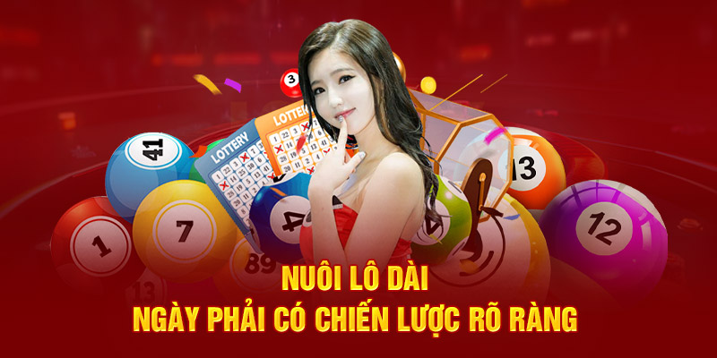 Nuôi lô dài ngày phải có chiến lược rõ ràng 