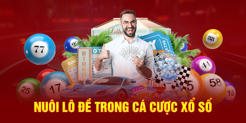 Nuôi lô đề trong cá cược xổ số 