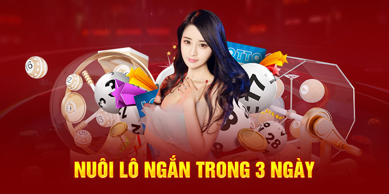 Nuôi lô ngắn trong 3 ngày 