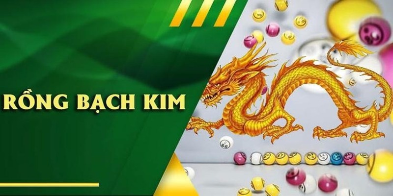 Những phiên bản cải tiến đáng chú ý của hệ thống Rồng Bạch Kim