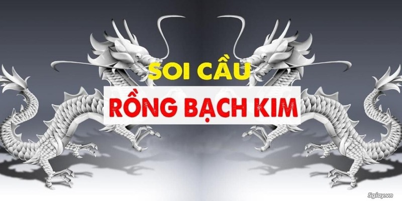 Tại sao Rồng Bạch Kim trở thành lựa chọn hàng đầu của các tín đồ lô đề?